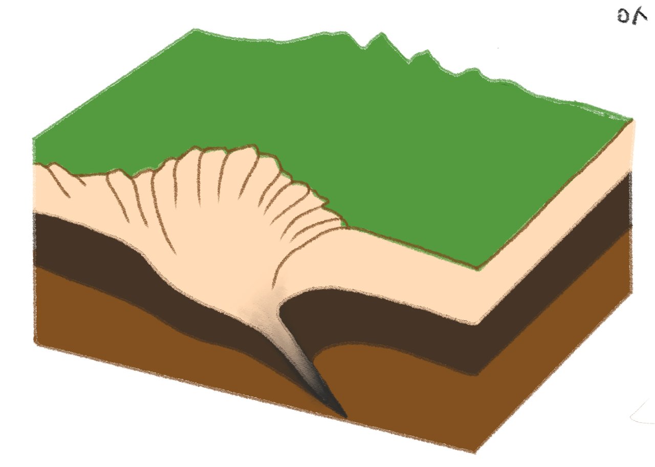 아더랜드 - 5억 5,000만 년 전 지구에서 온 편지 (토머스 할리데이 저/김보영 역/박진영 감수) : 숲사이 _ 책, image size:1280x912
